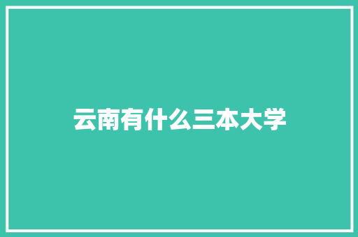云南有什么三本大学