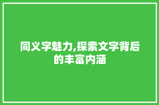 同义字魅力,探索文字背后的丰富内涵