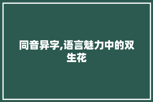 同音异字,语言魅力中的双生花