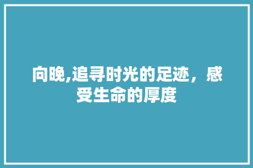 向晚,追寻时光的足迹，感受生命的厚度