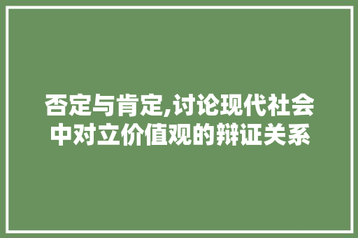 否定与肯定,讨论现代社会中对立价值观的辩证关系