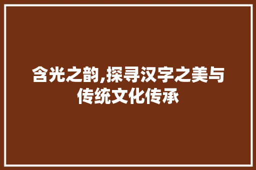 含光之韵,探寻汉字之美与传统文化传承