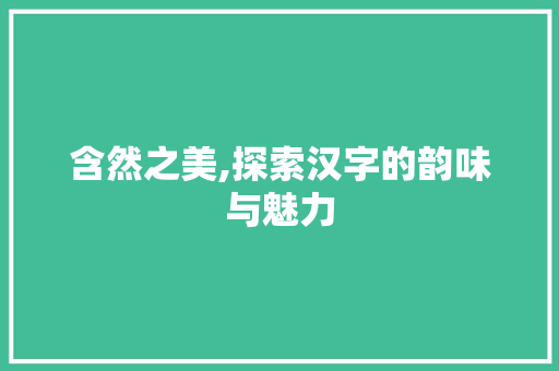 含然之美,探索汉字的韵味与魅力