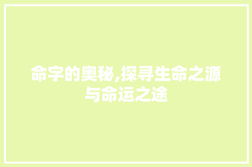 命字的奥秘,探寻生命之源与命运之途