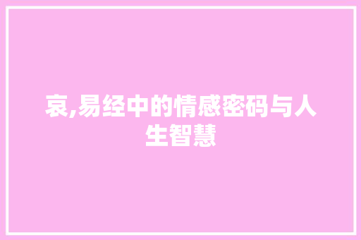 哀,易经中的情感密码与人生智慧