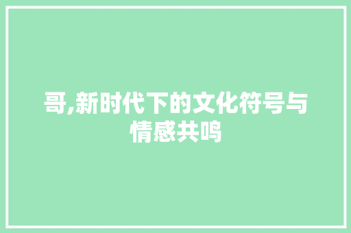 哥,新时代下的文化符号与情感共鸣
