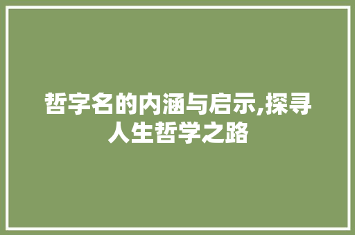 哲字名的内涵与启示,探寻人生哲学之路