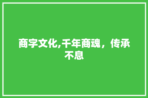 商字文化,千年商魂，传承不息
