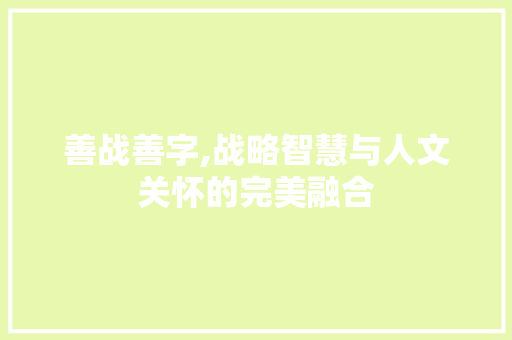 善战善字,战略智慧与人文关怀的完美融合