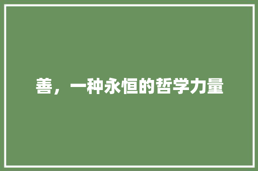 善，一种永恒的哲学力量