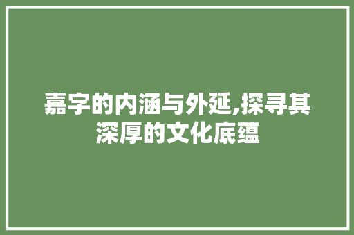嘉字的内涵与外延,探寻其深厚的文化底蕴