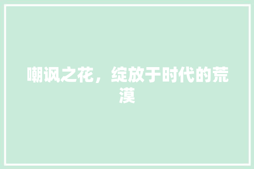 嘲讽之花，绽放于时代的荒漠