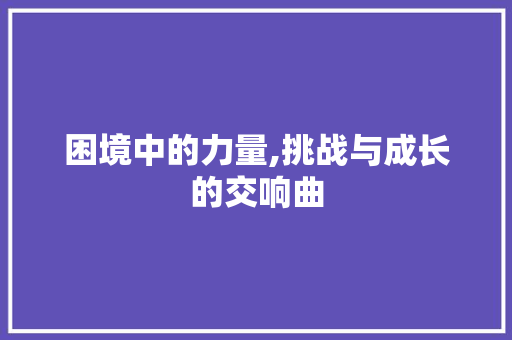 困境中的力量,挑战与成长的交响曲