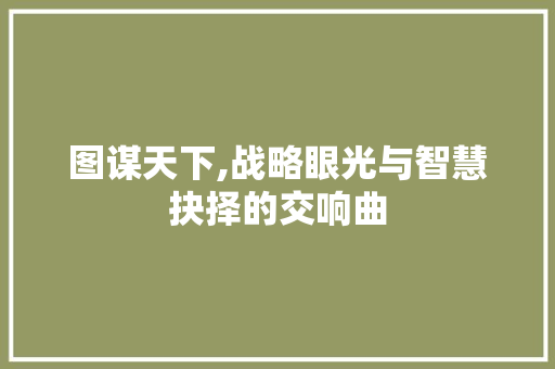 图谋天下,战略眼光与智慧抉择的交响曲