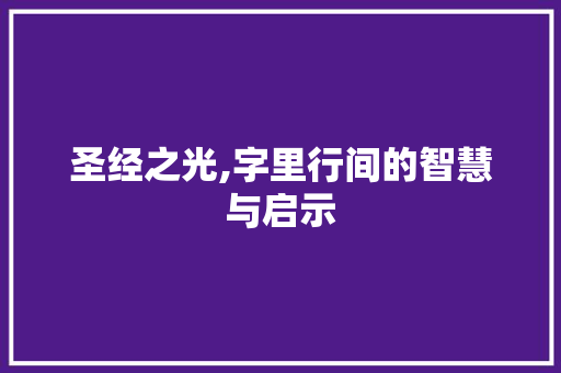 圣经之光,字里行间的智慧与启示