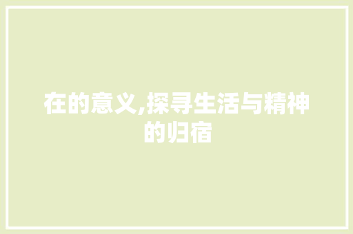 在的意义,探寻生活与精神的归宿
