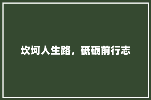 坎坷人生路，砥砺前行志