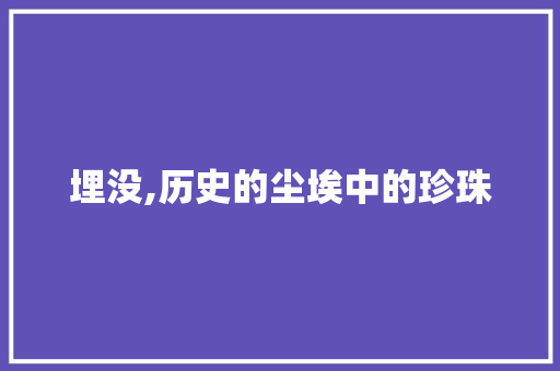 埋没,历史的尘埃中的珍珠