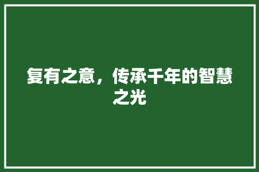 复有之意，传承千年的智慧之光