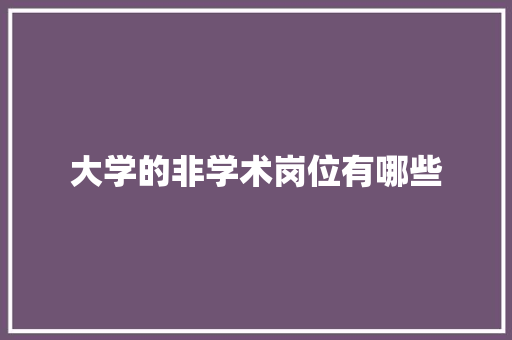 大学的非学术岗位有哪些
