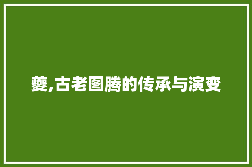 夔,古老图腾的传承与演变