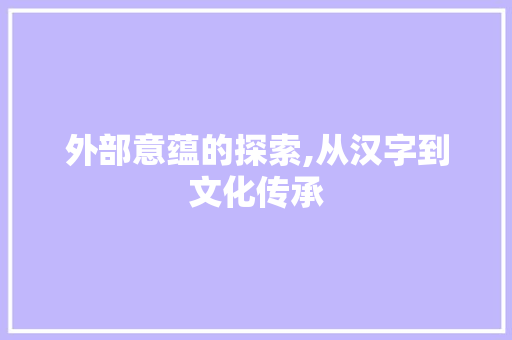 外部意蕴的探索,从汉字到文化传承