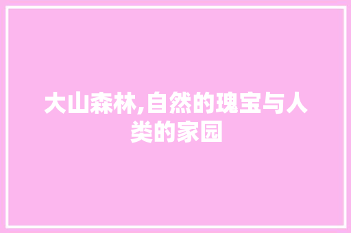 大山森林,自然的瑰宝与人类的家园