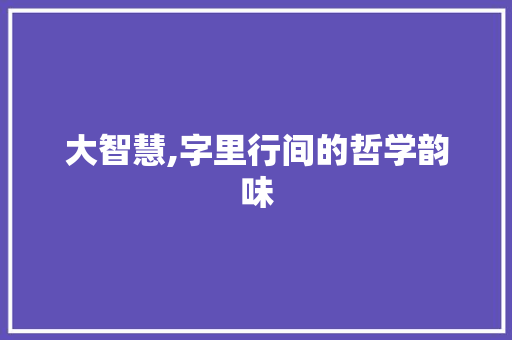 大智慧,字里行间的哲学韵味