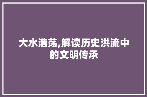 大水浩荡,解读历史洪流中的文明传承