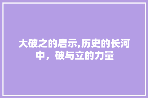 大破之的启示,历史的长河中，破与立的力量