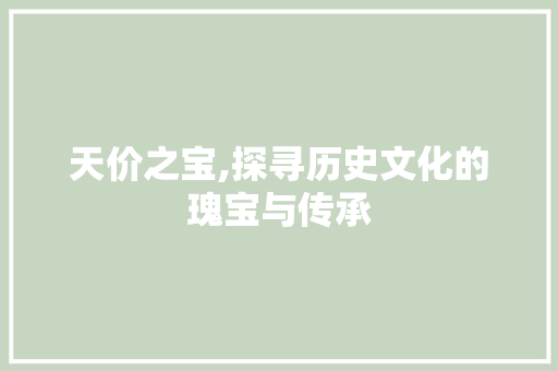 天价之宝,探寻历史文化的瑰宝与传承