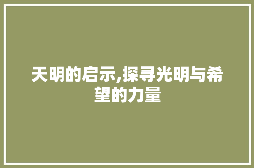 天明的启示,探寻光明与希望的力量