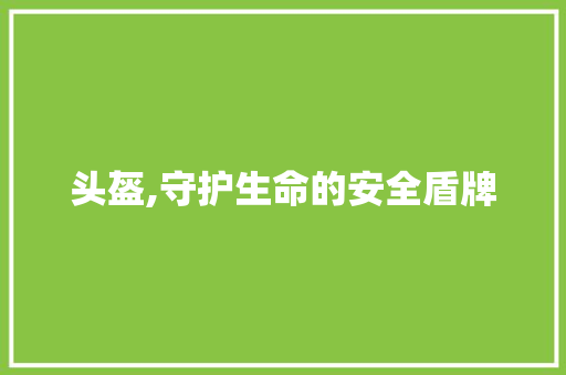 头盔,守护生命的安全盾牌