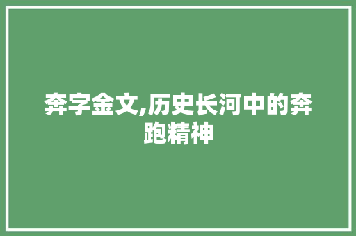 奔字金文,历史长河中的奔跑精神