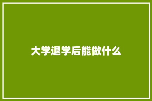 大学退学后能做什么