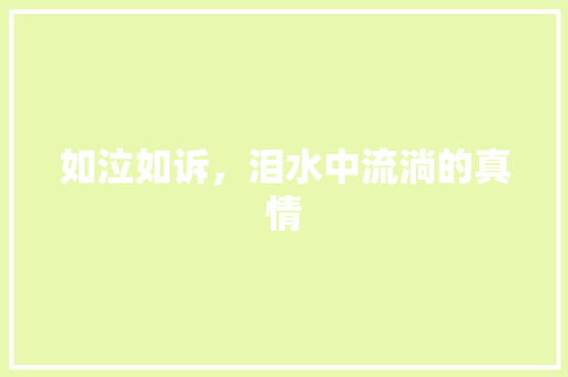 如泣如诉，泪水中流淌的真情