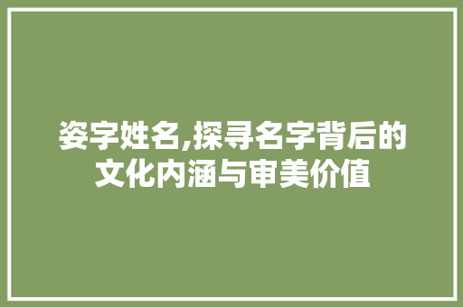 姿字姓名,探寻名字背后的文化内涵与审美价值