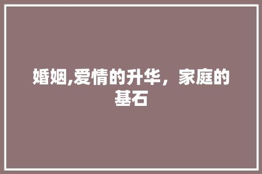 婚姻,爱情的升华，家庭的基石