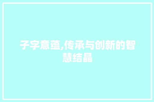 子字意蕴,传承与创新的智慧结晶