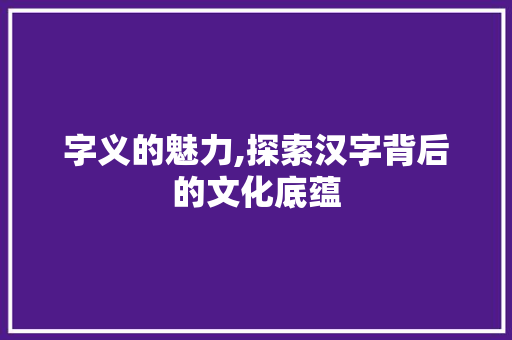 字义的魅力,探索汉字背后的文化底蕴