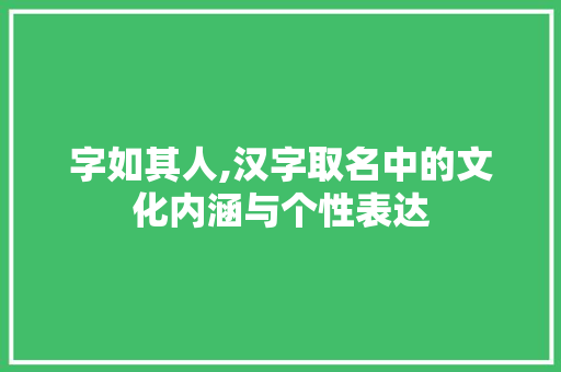 字如其人,汉字取名中的文化内涵与个性表达