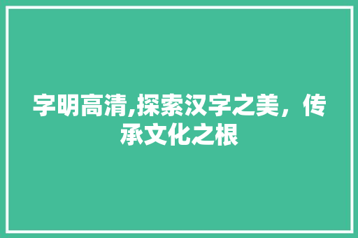 字明高清,探索汉字之美，传承文化之根