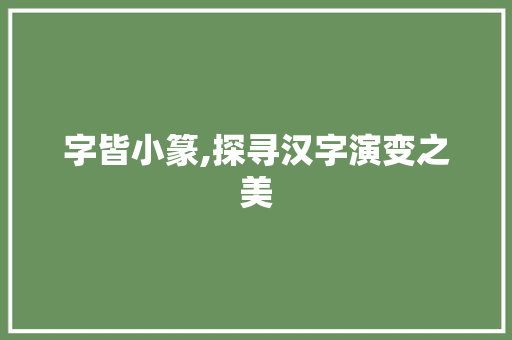 字皆小篆,探寻汉字演变之美