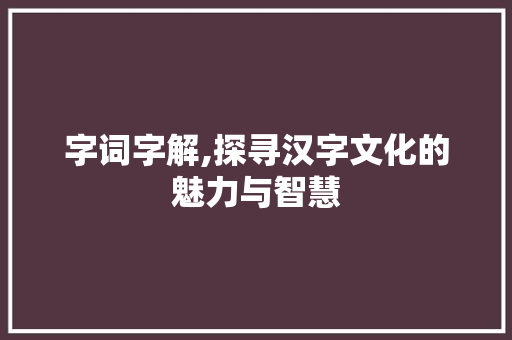 字词字解,探寻汉字文化的魅力与智慧