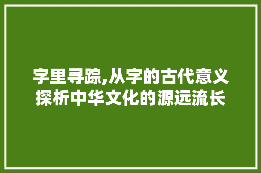 字里寻踪,从字的古代意义探析中华文化的源远流长