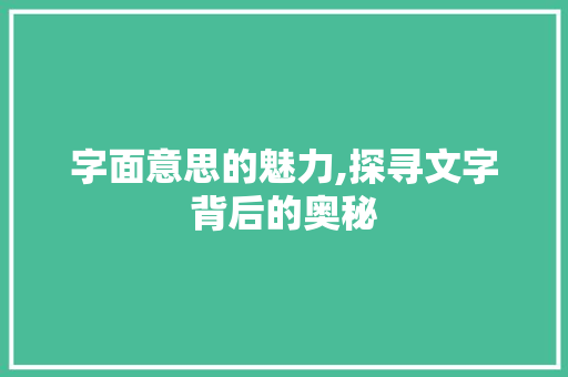 字面意思的魅力,探寻文字背后的奥秘