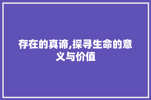 存在的真谛,探寻生命的意义与价值