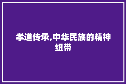 孝道传承,中华民族的精神纽带