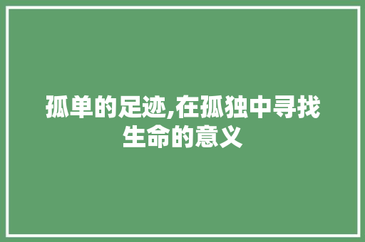 孤单的足迹,在孤独中寻找生命的意义