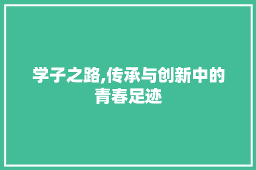 学子之路,传承与创新中的青春足迹